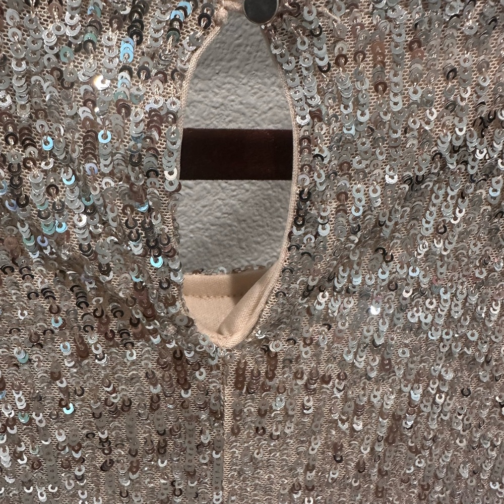 Rachel Zoe Glittering Silver Sequin Blouse - Picture 7 of 7